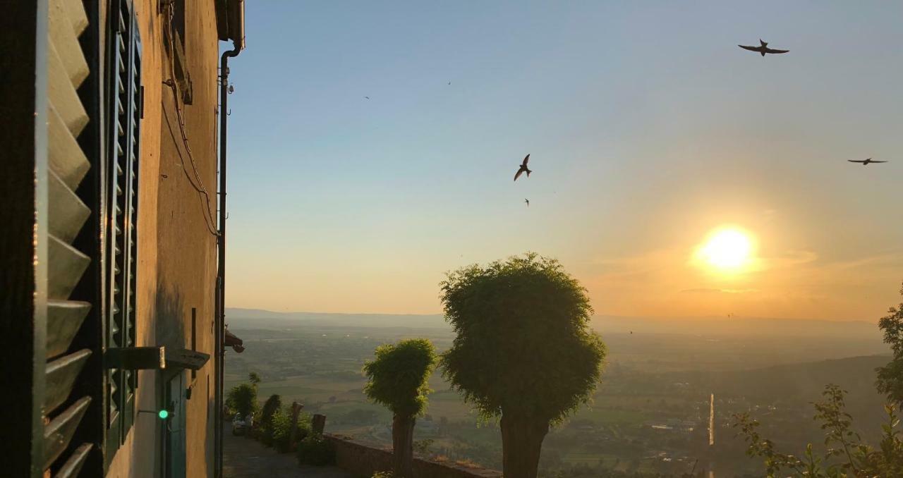 Una Pausa Te Per L'Anima - Casa Vacanza Cortona Exteriér fotografie
